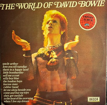 IMPORT THE WORLD OF DAVID BOWIE RECORD LP