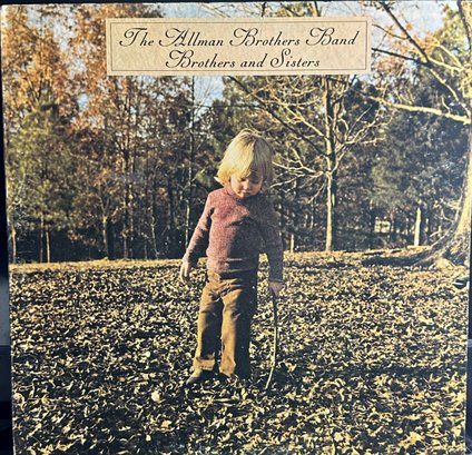 THE ALLMAN BROTHERS BAND BROTHERS AND SISTERS LP RECORD