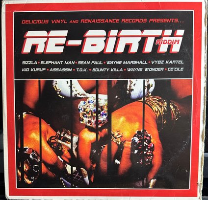 RE-BIRTH RIDDIM 2 VINYL SET DV-9014 LP RECORD