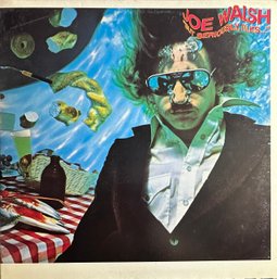 JOE WALSH BUT SERIOUSLY FOLFS. Record, Vinyl , Lp