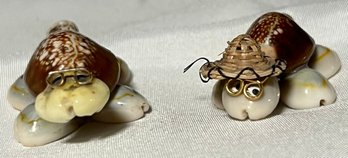 2 Vintage Sea Shells Souvenir Desk Decor Turtle Figurines