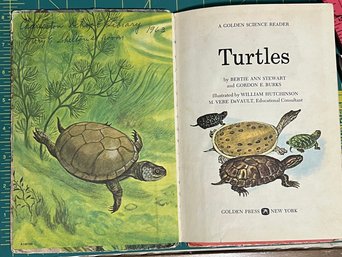 Turtles By Bertie Ann Stewart And Gordon E. Burkes