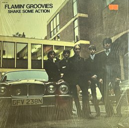FLAMIN' GROOVIES Shake Some Action! Lp Record