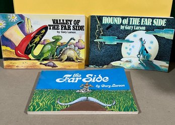 Set Of 3 Far Side Comics - Valley Of The Far Side, The Far Side And Hound Of The Far Side