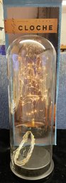 Glass Cloche LED String Lights