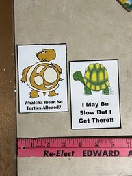 Set Of 2 Turtle Magnets