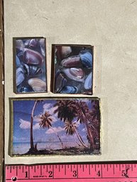 Set Of 3 Magnets - Seashells And Palm Trees