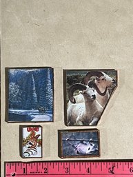 Set Of 4 Magnets Assorted Animals