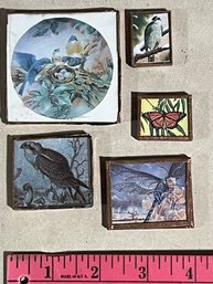 Set Of 5 Magnets, Birds, Butterfly Etc
