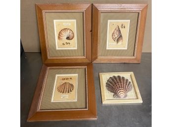 Lot Of 4 Shell Artwork Framed Pictures Shells Ocean