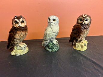 Three (3) Royal Doulton Scotch Whisky Owls Decanters - Tawny - Snowy - Short Eared