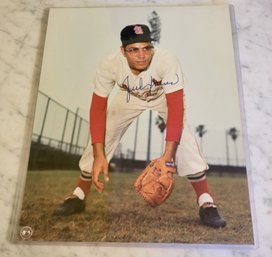 VINTAGE AUTOGRAPHED 8 X 10 GLOSSY COLOR PHOTO--ST. LOUIS CARDINAL--JULIAN JAVIER