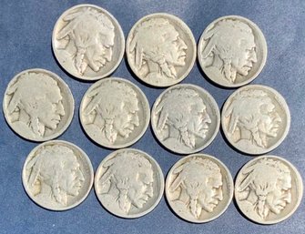 Buffalo Nickels 11 Count No Dates, United States Of America Buffalo Nickels No Date