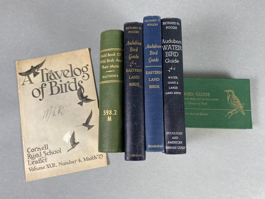 Vintage Audubon Bird Guides, Field Books & A Travelog