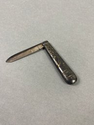 Vintage Or Antique Single Blade Pocket Fruit Knife With Silverplate Case, Meridian Britannica Co.