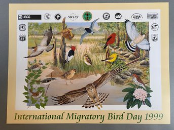 Fantastic U.S. Fish & Wildlife Service, International Migratory Bird Day Poster From 1999, Carol Decker