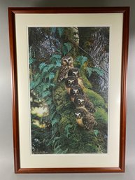 Framed, Limited Edition Signed Print Of Young Saw-whet Owls Titled The Family Tree By Carl Brenders