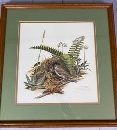 Framed Hand Signed Print By Ray Harm Featuring An Ovenbird Feeding Chicks