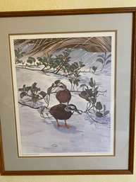 Stunning Framed Limited Edition Richard Evans Younger Print 1967 Vanishing Species Of Birds Plate III