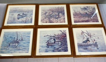 Great Set Of Six Gary E. Neel Watercolor Prints Of Waterfowl Issued By Pacific Flyway Designs