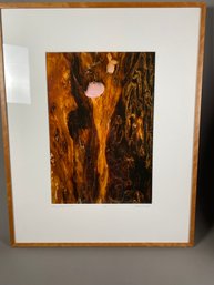 Wonderful Framed And Matted Photograph By Local Artist Howard Rosenfeld, 'flaming Heavans II'