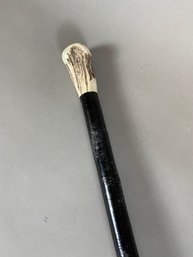 Decorative Black Cane Or Walking Stick With Polished Handle That Resembles Bone And Brass Tip