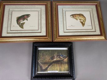 Two Framed Prints Of Brown And Rainbow Trout, Fishing Flies, And Richard Clifton Print, Spring Woodies