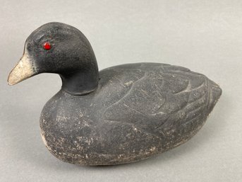 Awesome Vintage Coot Bird Decoy With Glass Eyes And Foam Body