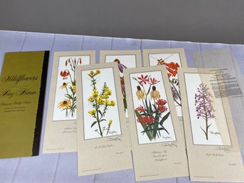 Six Signed Ray Harm Prints Of Eastern Summer Wildflowers Including Prairie Coneflower, Foxglove & Many More