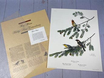 Spectacular Signed Ray Harm Print Of Various Warblers, Bird & Wildlife Art, Yellow-throated Warbler