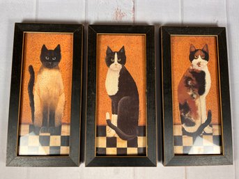 Awesome Framed Cat Prints By Cindy Sampson With Siamese, Calico, And Tuxedo Cats