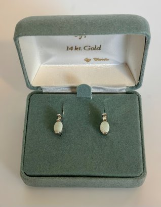 Beautiful Opal 14k White Gold Earrings