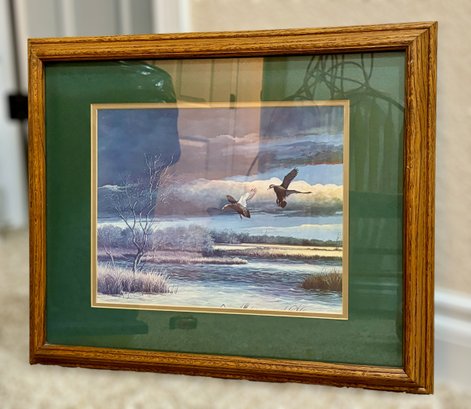 Framed Print Of Two Flying Ducks Over Water