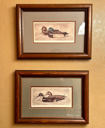 Framed Duck Decoy Prints #245 & #303 - Lot Of 2