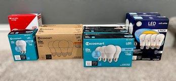 Great Assortment Of Lightbulbs