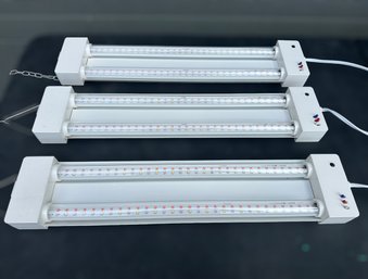 Adjustable Indoor Grow Lights - Set Of 3