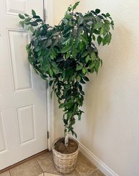 Faux Ficus Tree In Wicker Pot