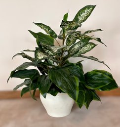 Beautiful Faux Plant In Cream Pot