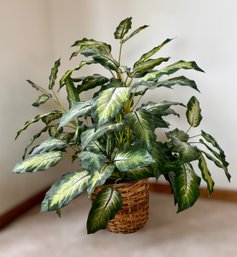 Gorgeous Faux Dieffenbachia Plant In Woven Basket