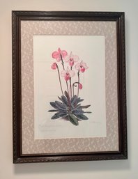 Gorgeous Paphiopedilum Delantii Framed Print W/ Lace Embellished Trim