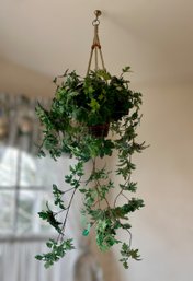 Magnificent Faux Hanging Plant In Wicker Basket