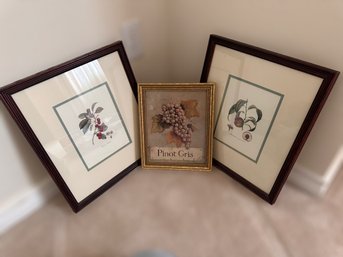 Decorative Fruit Prints In Frames - Set Of 3