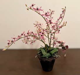 Exquisite Lifelike Pink Renanthera Plant