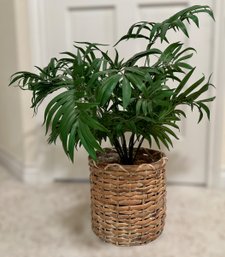 Nearly Natural Faux Chamaedorea Elegans House Plant In A Beautiful Wicker Basket