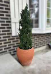 Faux Cedar Tree In Beautiful Terra Cotta Planter