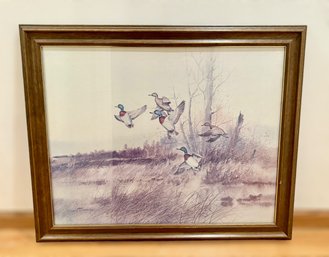 Great Framed Print Of Flying Mallard Ducks By Gregory F. Messier