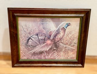 Pheasant Hunting Framed Print By Robert K. Abbett