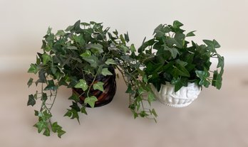 Charming Set Of Artificial Ivy House Plants. Lot Of 2