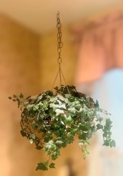Lovely Hanging Artifical House Plant In Brass Planter