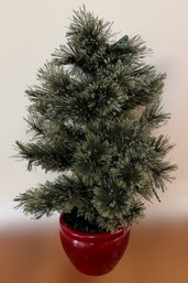 Beautiful Pre-lit  Potted Pine Tree
